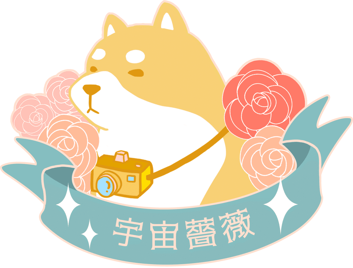 🐱寫真工作室🐱造型攝影雙棲的猛漢(?)工作室—宇宙薔薇情境攝影工作室 - 第11張圖