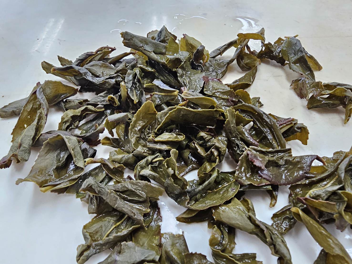 漢貓喝茶🍵4.鐵觀音 - 第1張圖