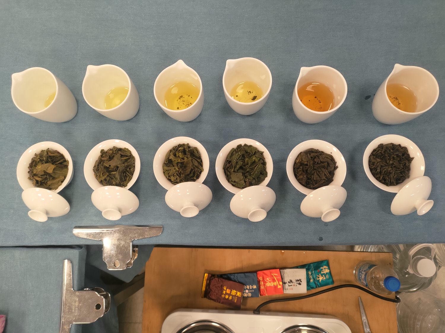 漢貓喝茶🍵4.鐵觀音 - 第3張圖